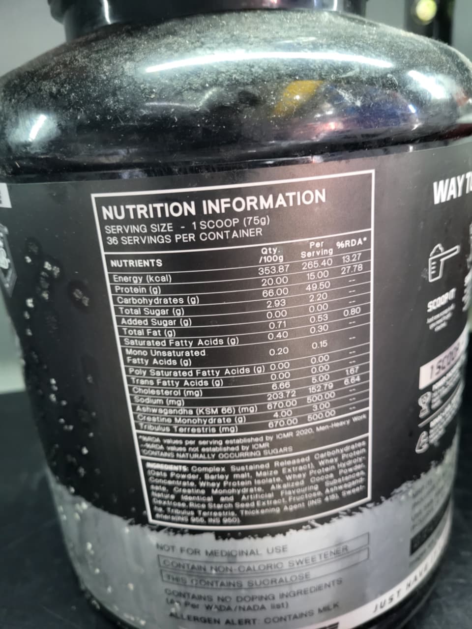 William Bonac Signature: PROTO SIZE Mass Gainer (Chocolate Hazelnut)